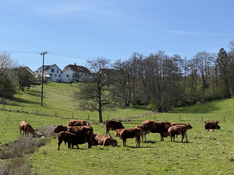 Einblick in unseren Hof
