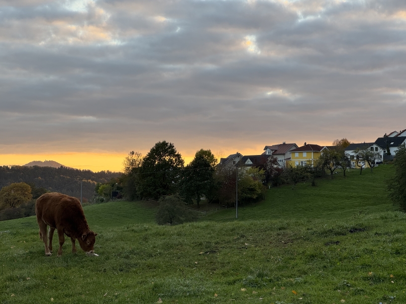 Unsere Wiesen