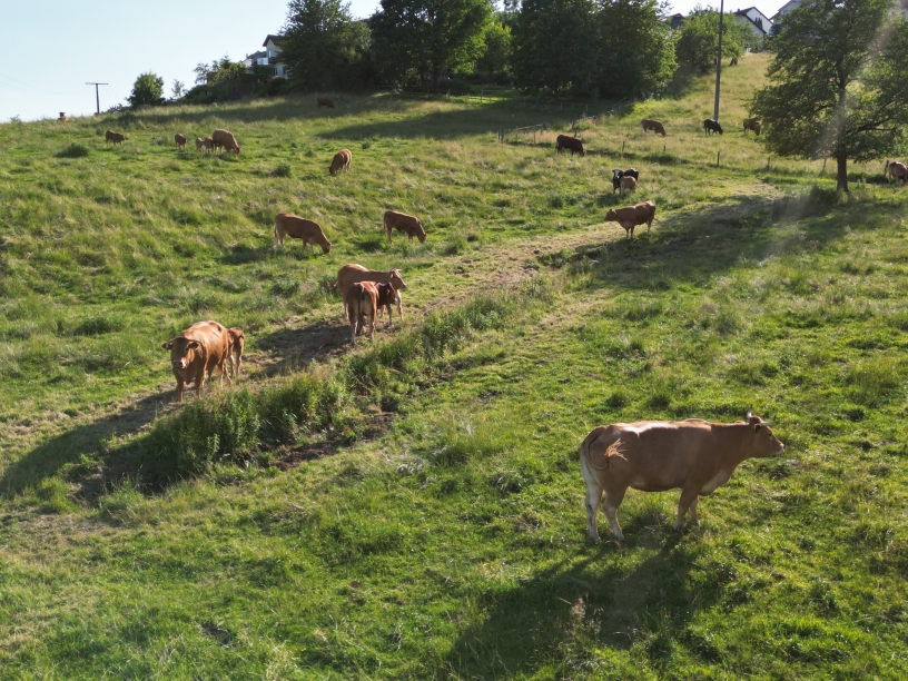 Unsere Tiere